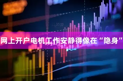 网上开户电机工作安静得像在“隐身”