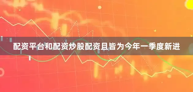 配资平台和配资炒股配资且皆为今年一季度新进