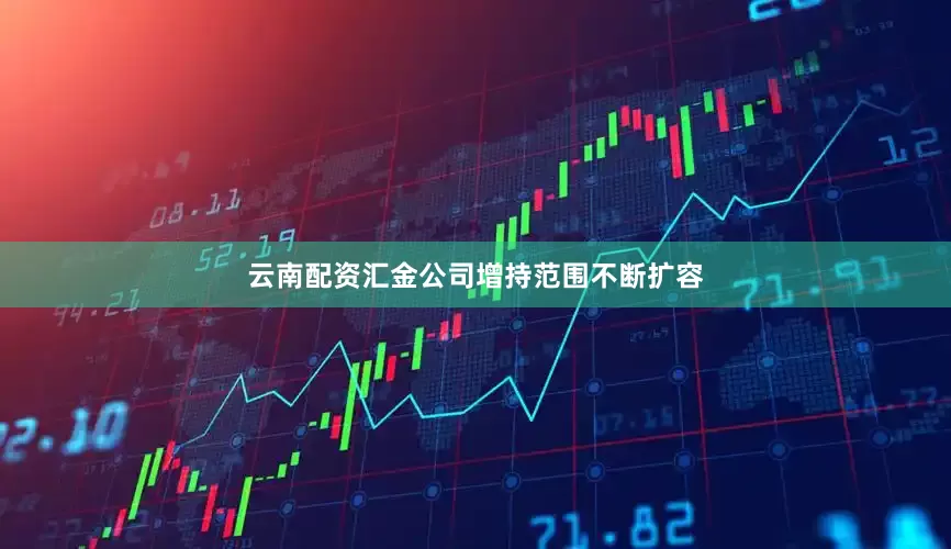 云南配资汇金公司增持范围不断扩容