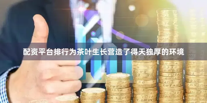 配资平台排行为茶叶生长营造了得天独厚的环境