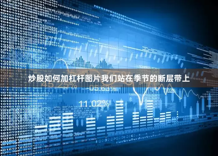 炒股如何加杠杆图片我们站在季节的断层带上