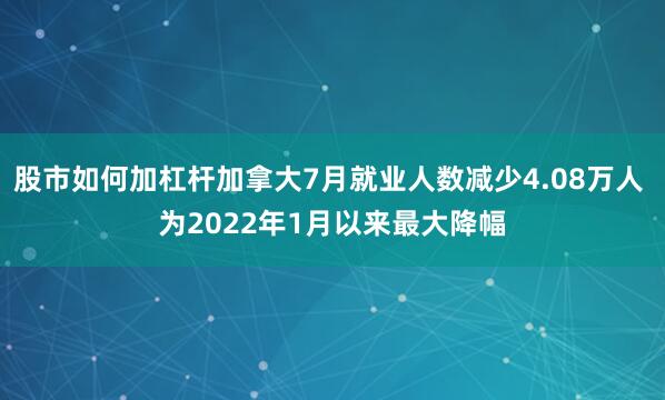股市如何加杠杆加拿大7月就业人数减少4.08万人 为2022年1月以来最大降幅