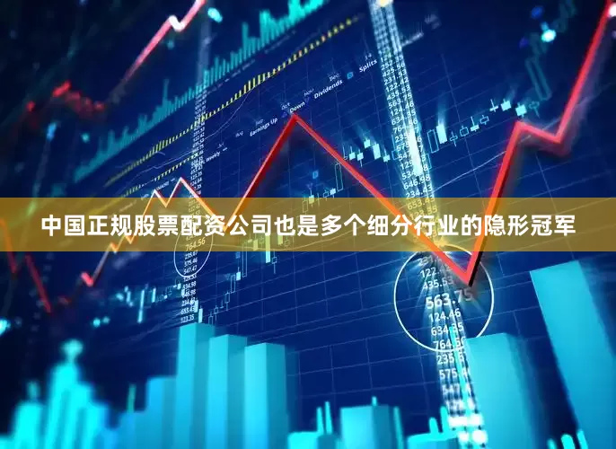 中国正规股票配资公司也是多个细分行业的隐形冠军