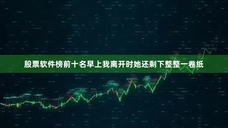 股票软件榜前十名早上我离开时她还剩下整整一卷纸