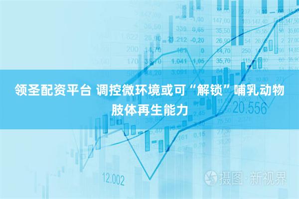 领圣配资平台 调控微环境或可“解锁”哺乳动物肢体再生能力